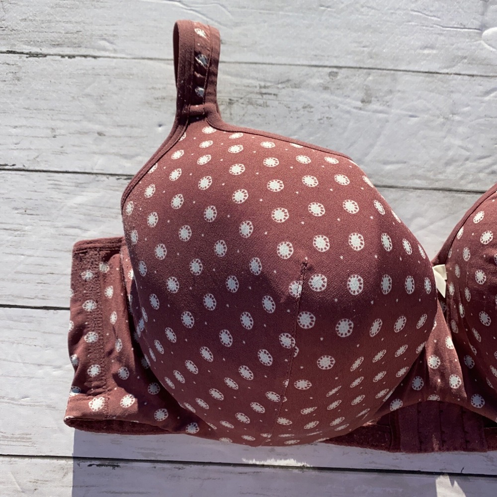 Cacique 44DD Bra Lightly Lined Balconette Underwire Mauve Cream Floral Dot Soft - Picture 2 of 12